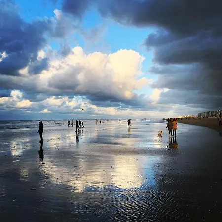 Mare Lejlighed *