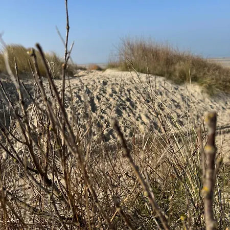 Mare De Panne